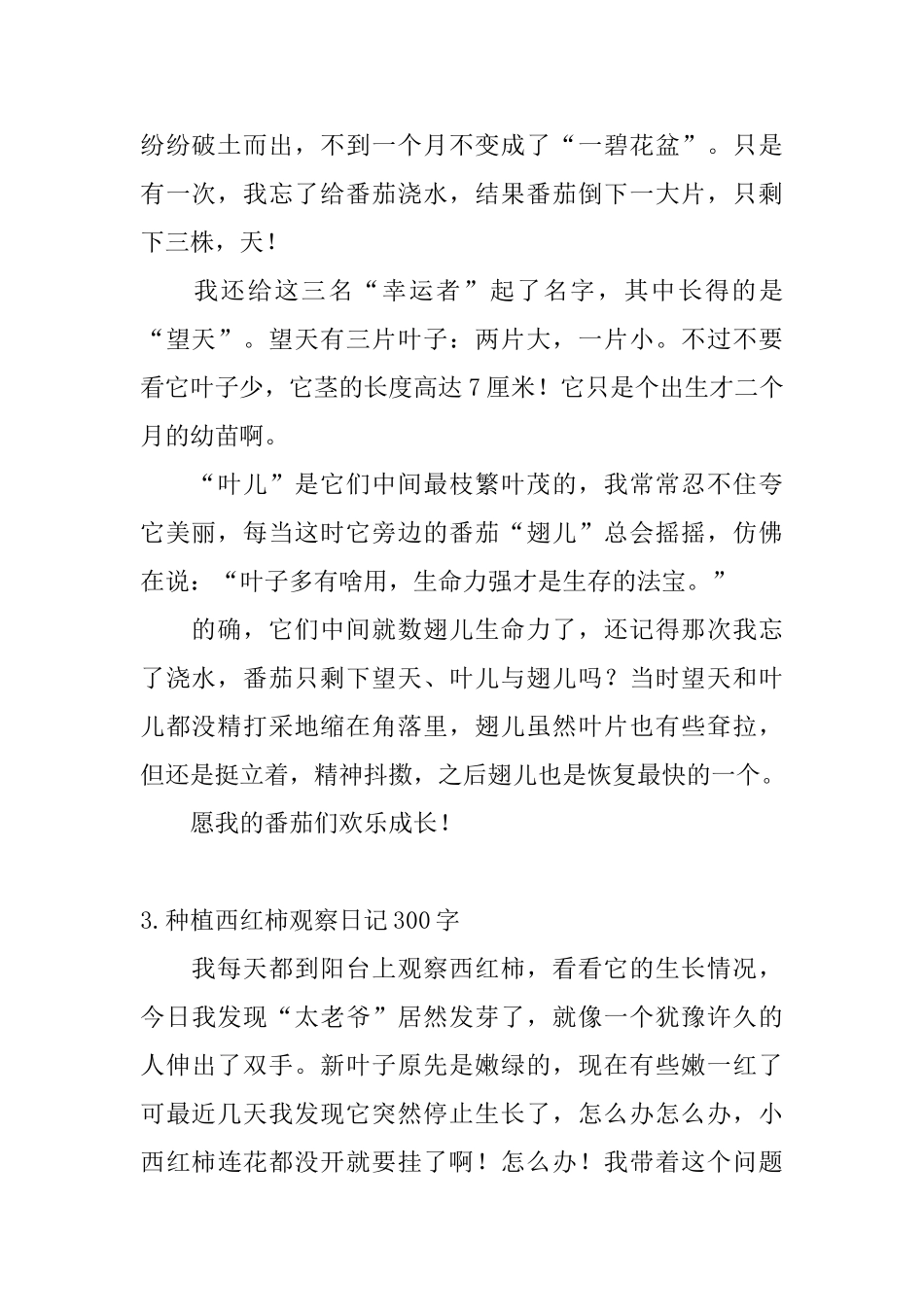 种植西红柿观察日记300字5篇_第2页