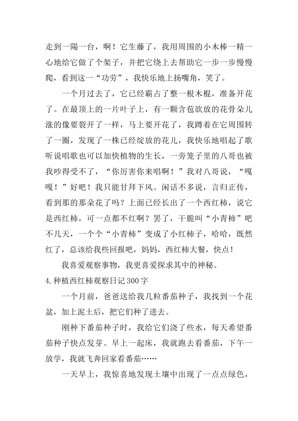 种植西红柿观察日记300字5篇_第3页