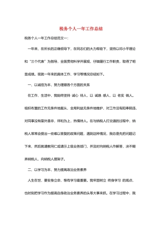 税务个人一年工作总结