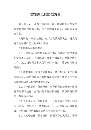 突发飓风的防范方案