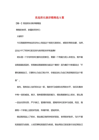 竞选班长演讲稿精选5篇