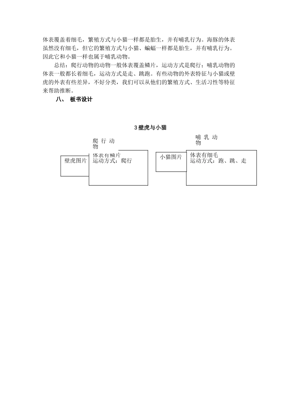 第3课《壁虎与小猫》教案教学设计_第3页