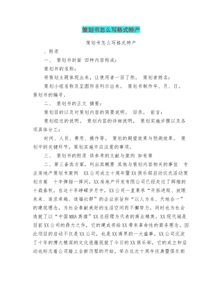 策划书怎么写格式特产