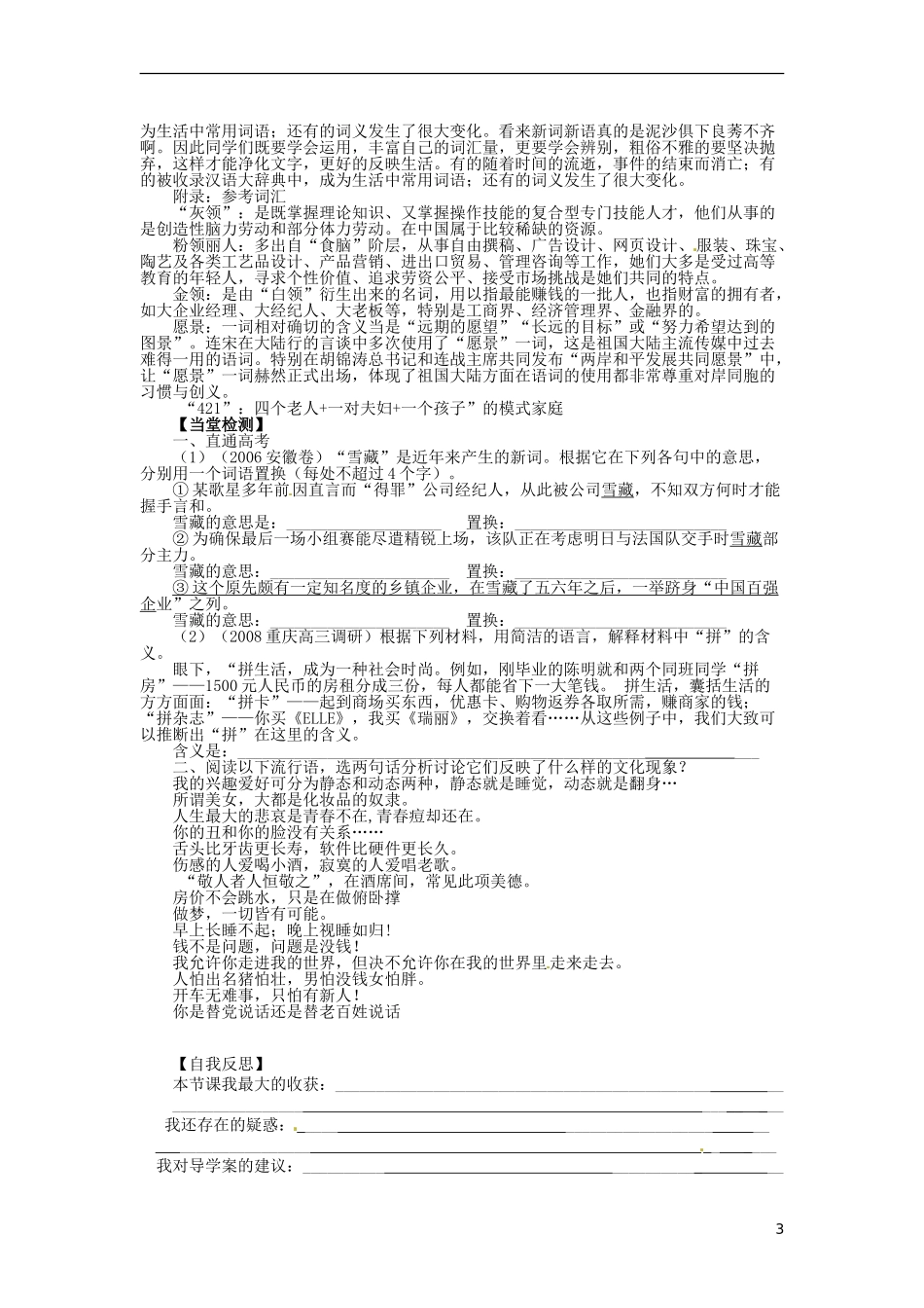 湖北省当阳二中2014年高中语文 1-19 新词语与流行文化导学案 新人教版必修1_第3页