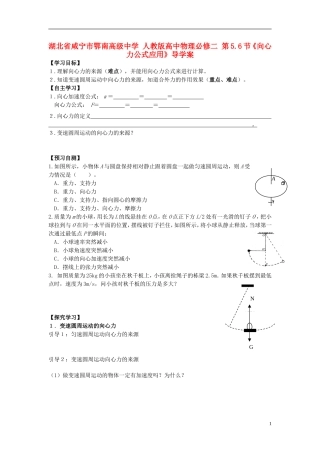湖北省咸宁市鄂南高级中学高中物理 第5.6节《向心力公式应用》导学案 新人教版必修2