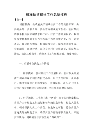 精准扶贫帮扶工作总结模板