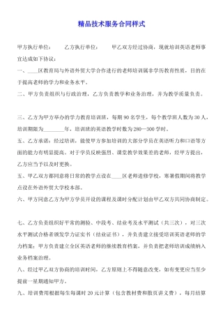 精品技术服务合同样式