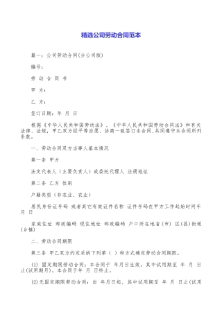精选公司劳动合同范本
