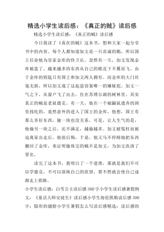 精选小学生读后感：《真正的贼》读后感