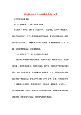 精选班主任工作计划模板合集10篇