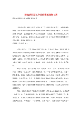 精选试用期工作总结模板锦集6篇