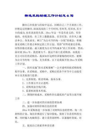精选采购助理工作计划怎么写