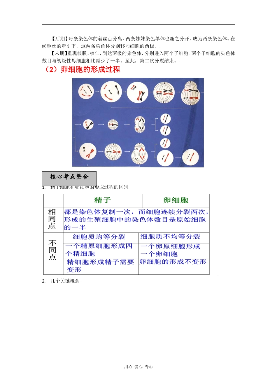 湖北省黄冈中学备战2010高三生物一轮复习学案 专题05 遗传的细胞基础_第3页