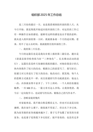 组织部2025年工作总结