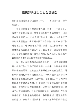 组织部长团委全委会议讲话