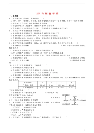 湖北省监利县第一中学2015届高三生物一轮复习 ATP与细胞呼吸训练案