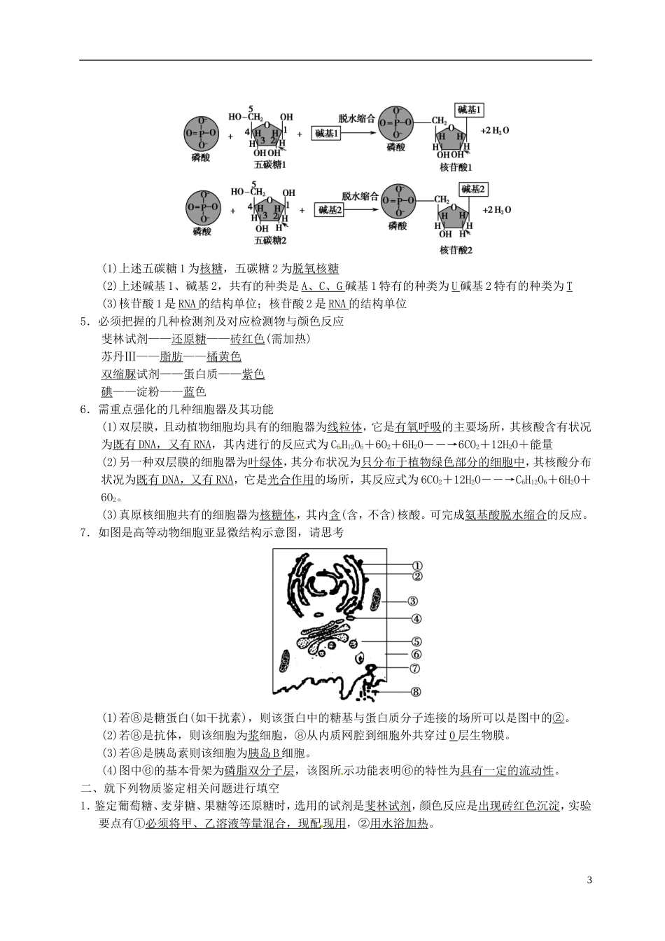 湖北省监利县第一中学2015届高三生物一轮复习 回扣落实一_第3页