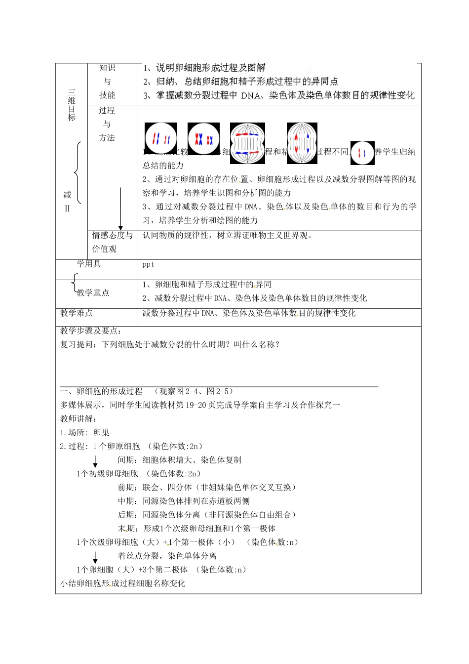 湖南省怀化市湖天中学2014高中生物 第2章 第1节 减数分裂（第2课时）教案 新人教版必修2_第2页