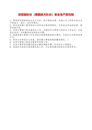 经营副处长安全生产责任制——精品资料