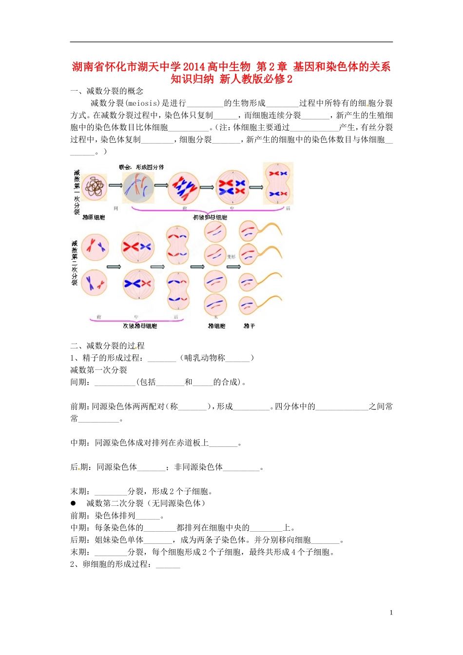 湖南省怀化市湖天中学2014高中生物 第2章 基因和染色体的关系知识归纳 新人教版必修2_第1页