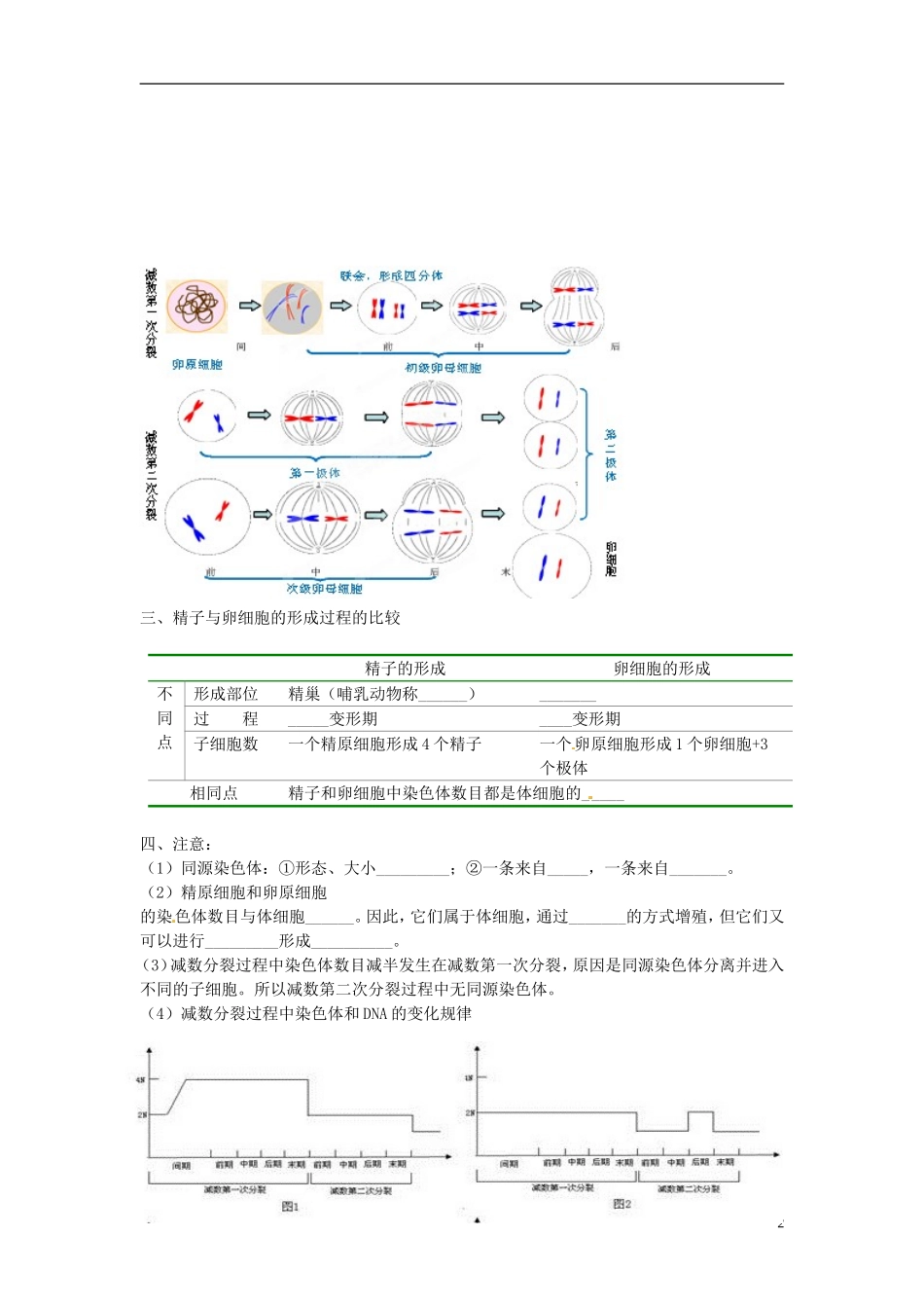 湖南省怀化市湖天中学2014高中生物 第2章 基因和染色体的关系知识归纳 新人教版必修2_第2页