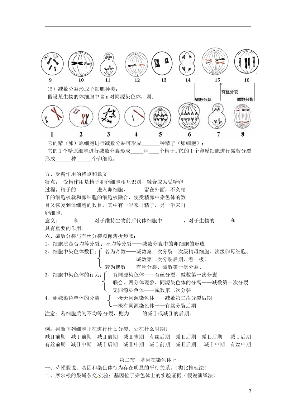 湖南省怀化市湖天中学2014高中生物 第2章 基因和染色体的关系知识归纳 新人教版必修2_第3页