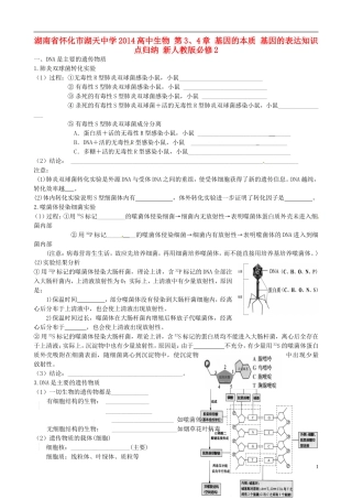 湖南省怀化市湖天中学2014高中生物 第3、4章 基因的本质 基因的表达知识点归纳 新人教版必修2