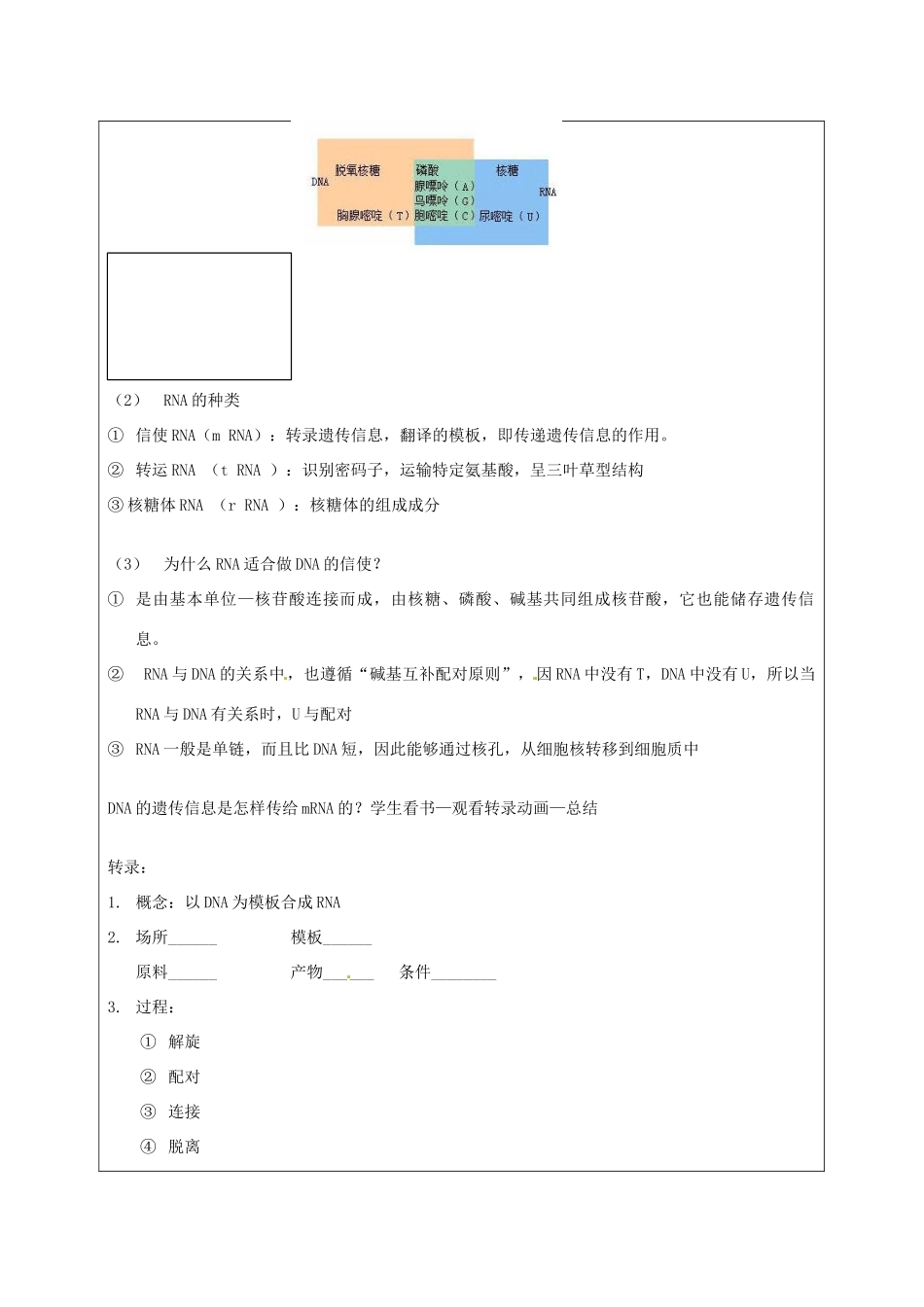 湖南省怀化市湖天中学2014高中生物 第4章 第1节 基因指导蛋白质的合成教案 新人教版必修2_第3页