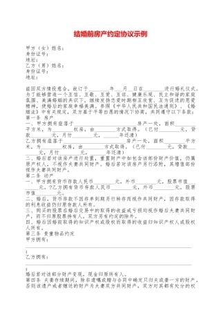 结婚前房产约定协议示例——范本