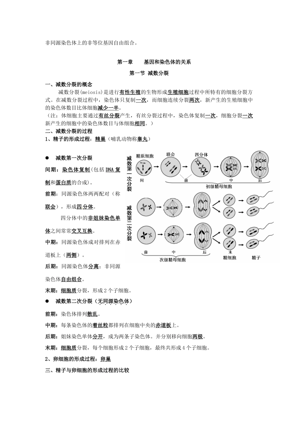湖南省怀化市湖天中学2014年高中生物 必修二知识点复习总结_第3页