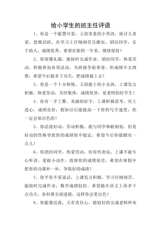 给小学生的班主任评语