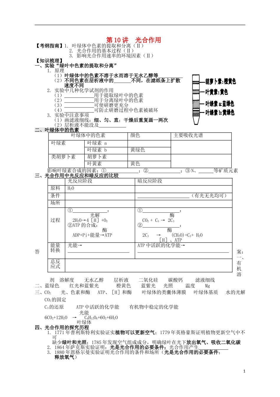 湖南省宁乡四中2014届高考生物第一轮复习 第10讲 光合作用学案_第1页