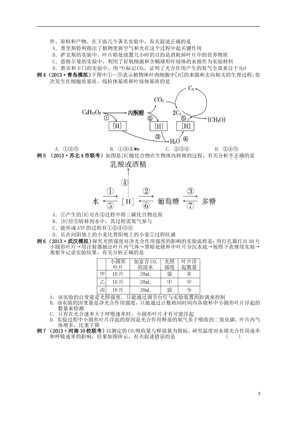 湖南省宁乡四中2014届高考生物第一轮复习 第10讲 光合作用学案_第3页