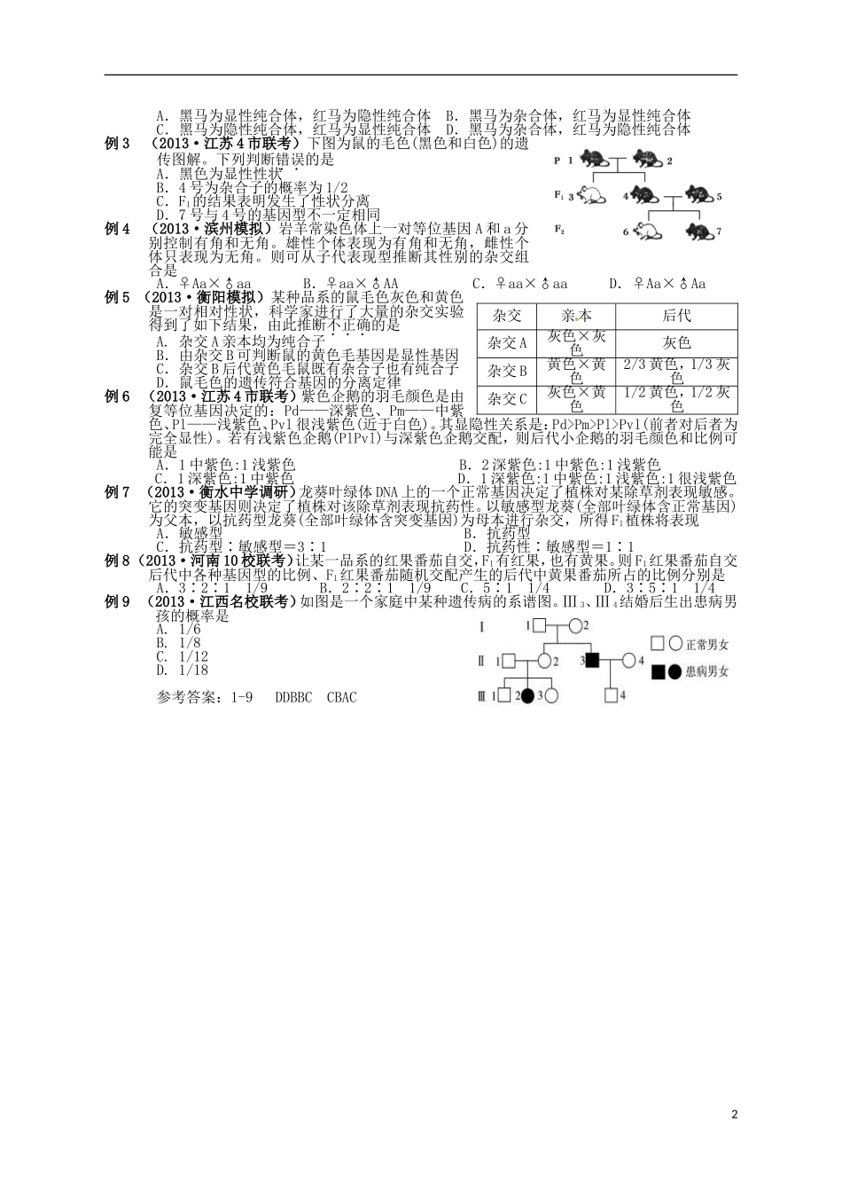 湖南省宁乡四中2014届高考生物第一轮复习 第13讲 孟德尔的豌豆杂交实验（一）学案_第2页