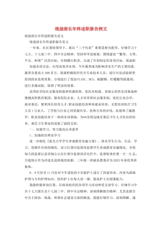 统战部长年终述职报告例文