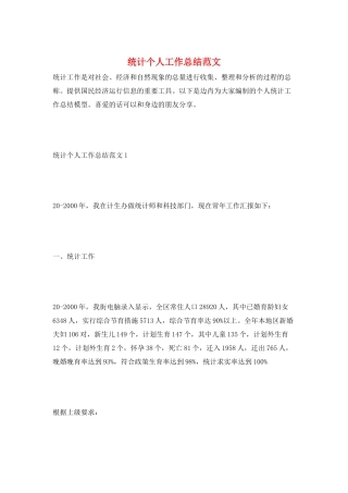 统计个人工作总结范文