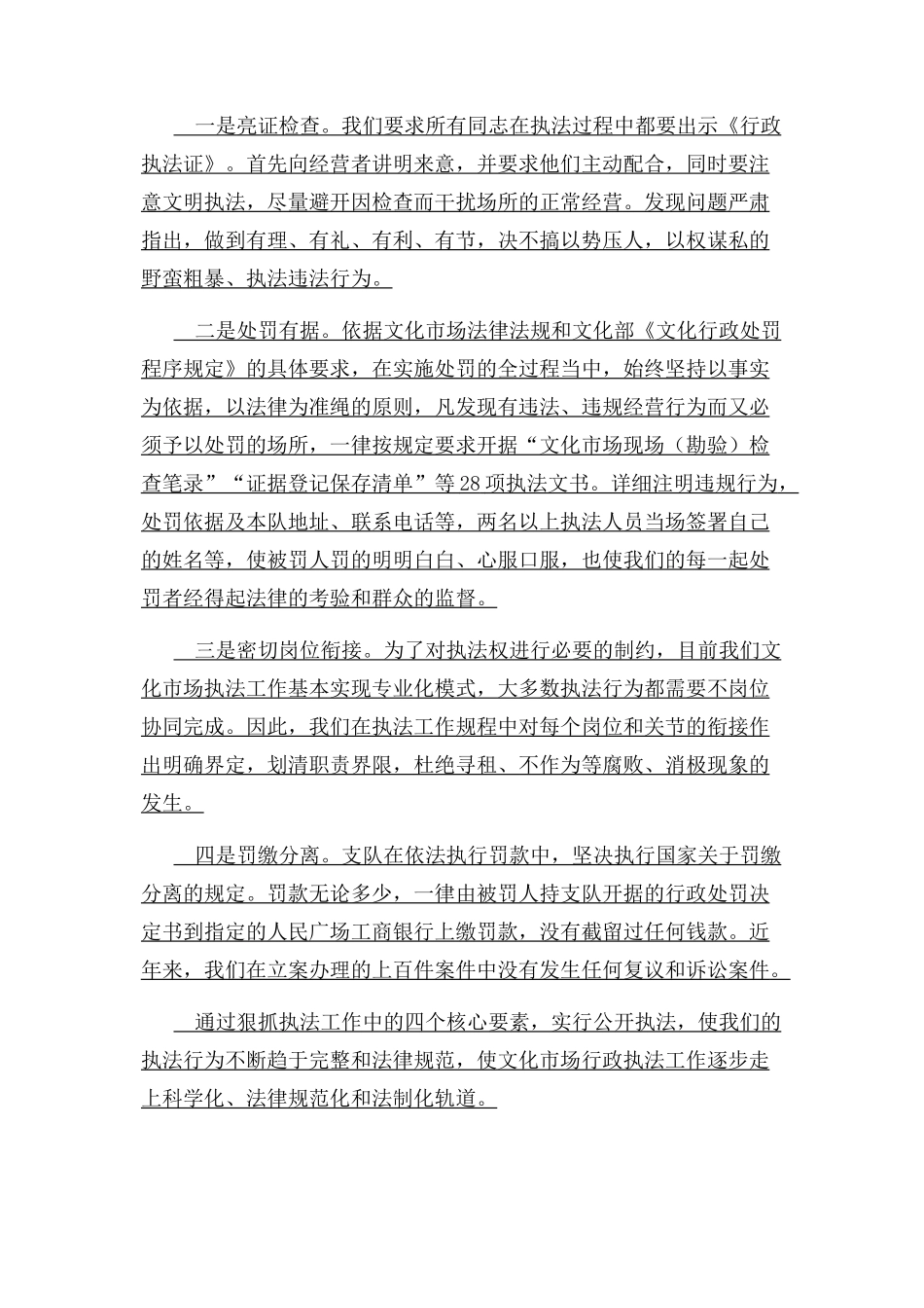 综合执法队法治政府建设工作报告_第3页