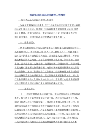 综合执法队法治政府建设工作报告