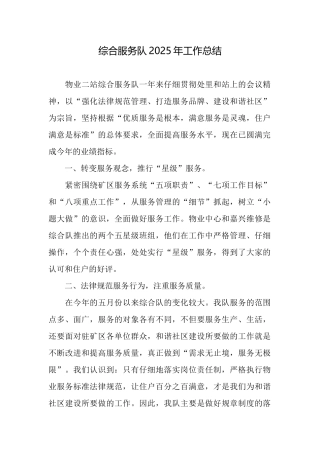综合服务队2025年工作总结