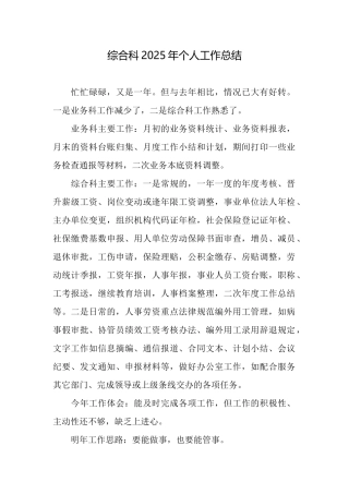综合科2025年个人工作总结