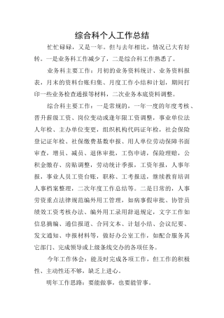 综合科个人工作总结