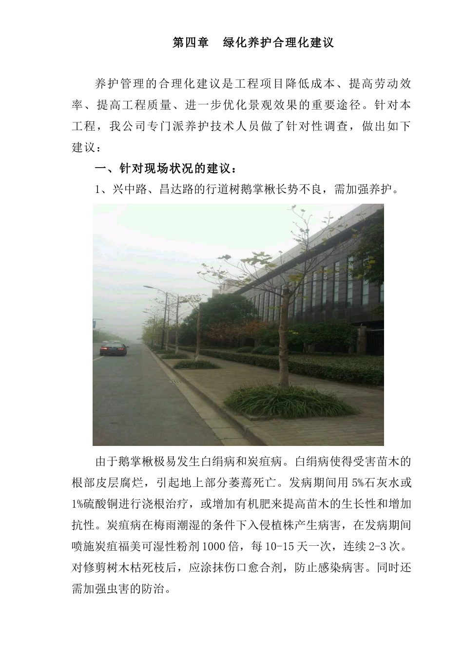 绿化养护合理化建议_第1页