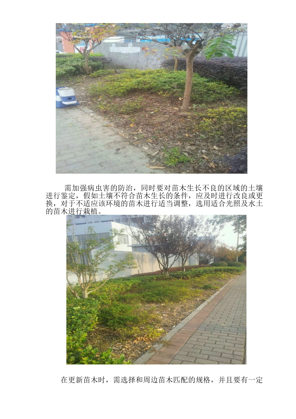 绿化养护合理化建议_第3页