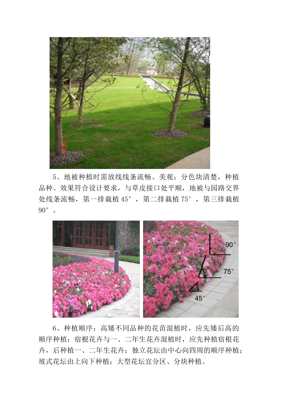 绿化养护操作细则_第3页