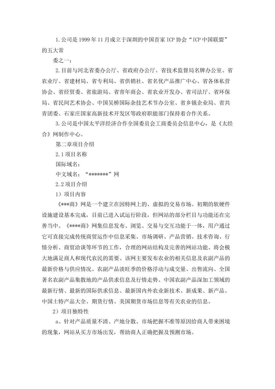 网站商业计划书_第2页