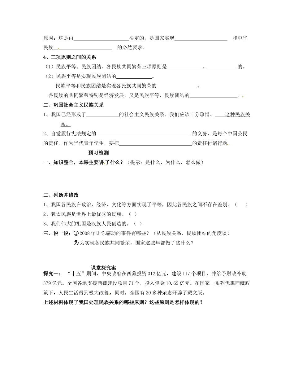 湖南省衡南县第九中学高中政治 平等、团结、共同繁荣学案 新人教版必修2_第2页