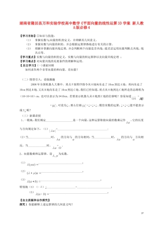湖南省隆回县万和实验学校高中数学《平面向量的线性运算3》学案 新人教A版必修4