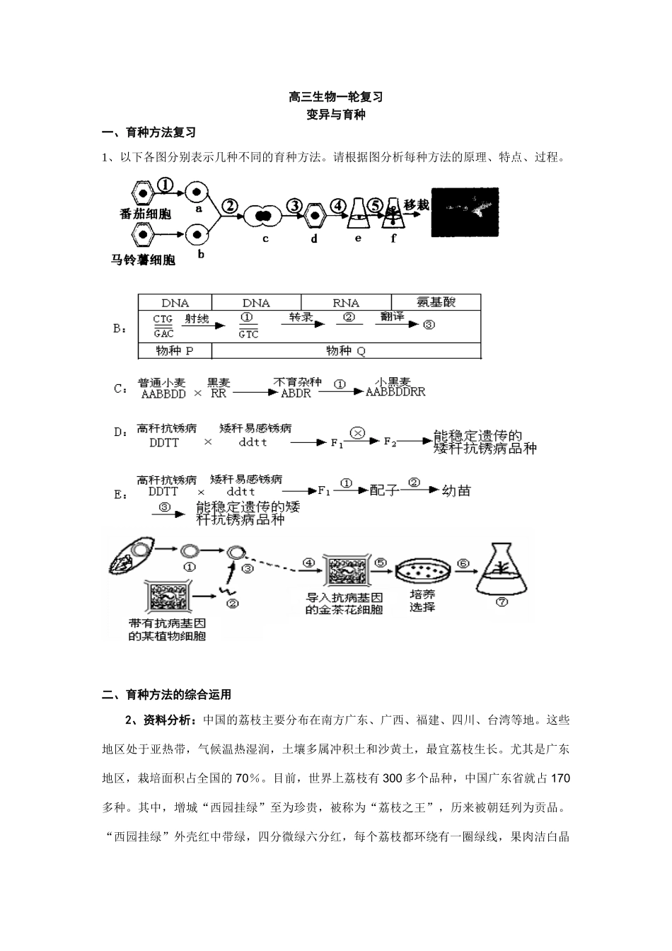 生物的育种 学案_第1页