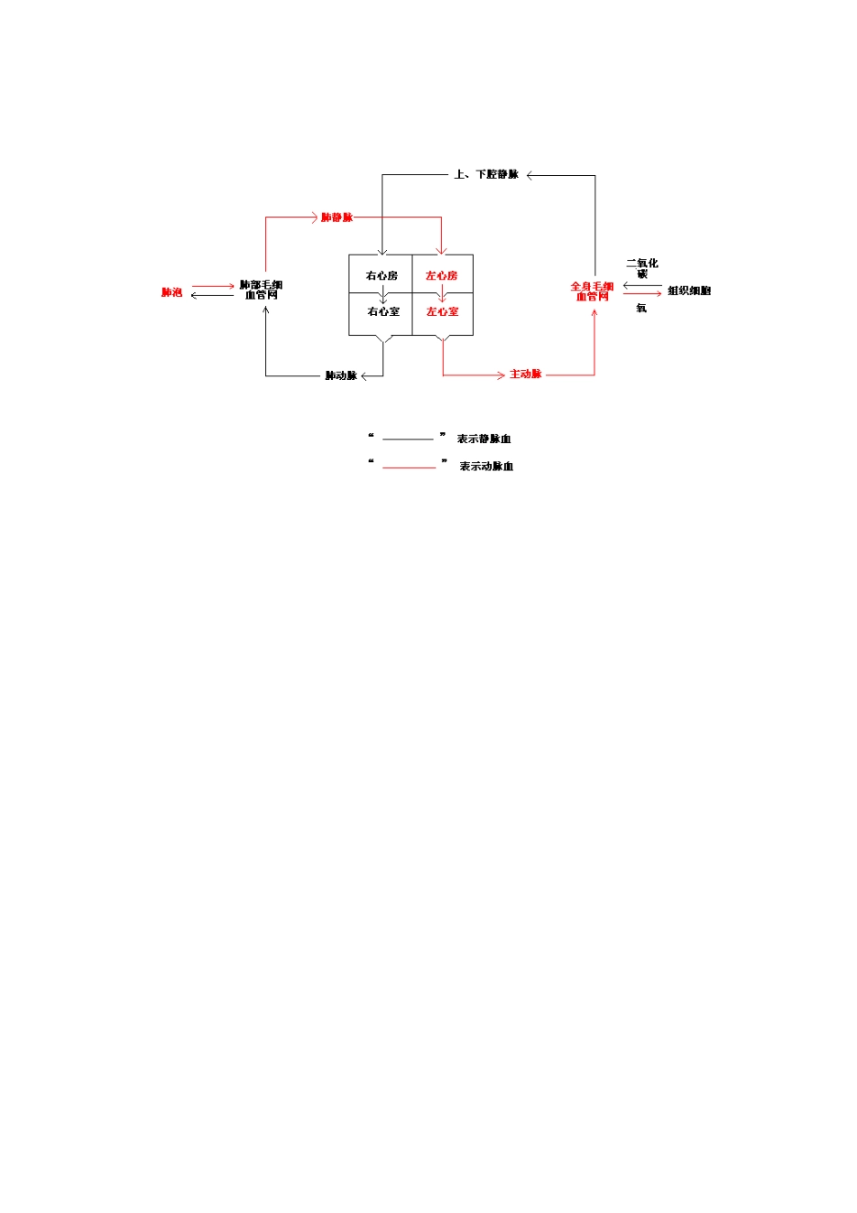 生物二招巧记血液循环知识人教版_第3页