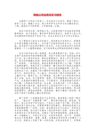 网络公司业务员实习报告